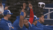 Celebrate Blue Jays GIF by Toronto Blue Jays