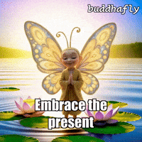 Water Peace GIF by BuddhaFlyJourney