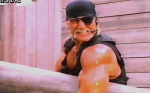 hulk hogan fighting GIF by Cheezburger