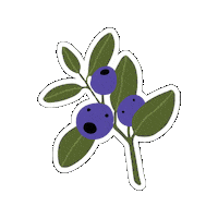 Huckleberries Sticker by MoscowFarmersMarket