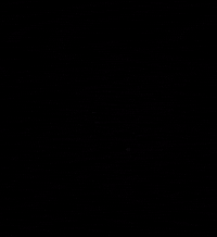 schorerwolf giphygifmaker schorerundwolf sw schorerwolf allgäu kempten GIF