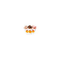 nhosorvetes icecream mix sorvete sorvetes Sticker