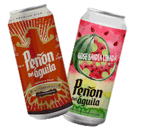 Beer Cerveza Sticker by Peñon del Aguila