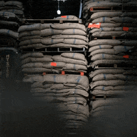 royalcoffeinc  GIF