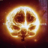 GIF by Product Hunt
