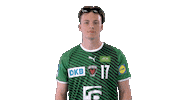 Handball-Bundesliga Handball Sticker by LIQUI MOLY HBL