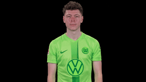 Fail Go Home GIF by VfL Wolfsburg