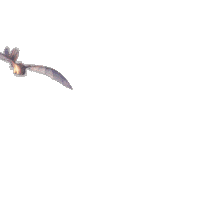 boom light fury Sticker by How To Train Your Dragon