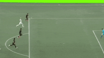 Los Angeles Football GIF by LAFC