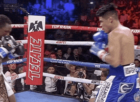 toprank fight fighting espn fighters GIF
