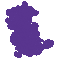 Text College Sticker by Bishop's University