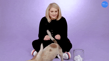 They're Fighting That's So Cute