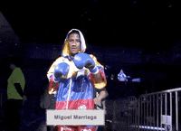 toprank fight fighting espn fighters GIF