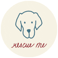 Dog Sticker