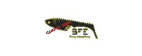 Coming Soon Fishing Sticker by bfe-clothing