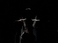 Merry Go Round Dancer GIF by Stray Fossa