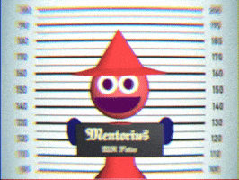 Skarmuse tv television vhs police GIF