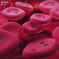 Diva Ate This GIF