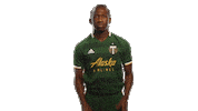 Portland Timbers Mls Sticker by Timbers
