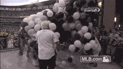 cws GIF by MLB