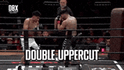 Knockout Punch GIF by Dirty Boxing Championship