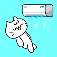 Happy Cat GIF by Mikitti