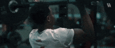 coogfans strong university of houston go coogs houston cougars GIF