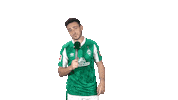 Kevin Möhwald Bundesliga Sticker by SV Werder Bremen