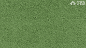GIF by Cypress-Fairbanks ISD