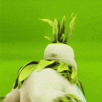 Oh Hello Greetings GIF by Wildcard