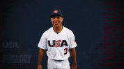 Pro GIF by USA Baseball