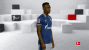 Posing Line Up GIF by Bundesliga