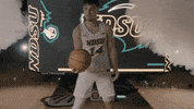 Ndsu Basketball GIF by NDSU Athletics