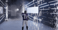 Dance Reaction GIF by Baltimore Ravens