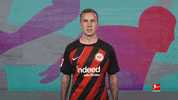 Eintracht Frankfurt Football GIF by Bundesliga