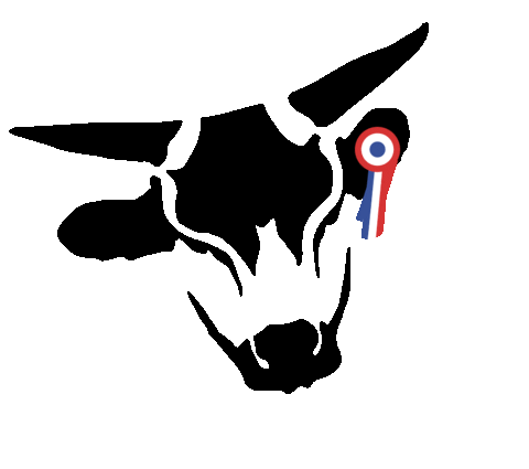 CreativPanda giphyupload vache medaille boucherie Sticker