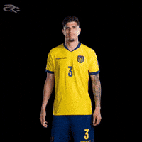 Fifa World Cup Ecuador GIF by Respective