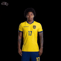 Fifa World Cup Ecuador GIF by Respective