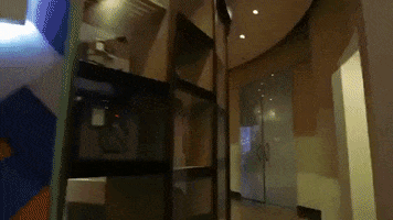 tennessee GIF