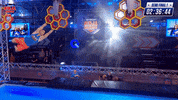 Jump Wow GIF by Australian Ninja Warrior