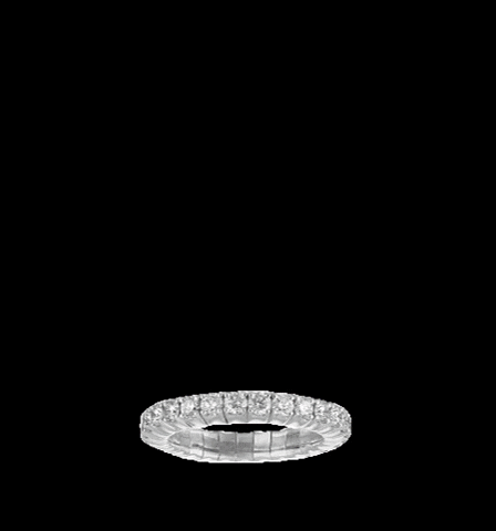 Stephanie_Gottlieb stephaniegottlieb GIF