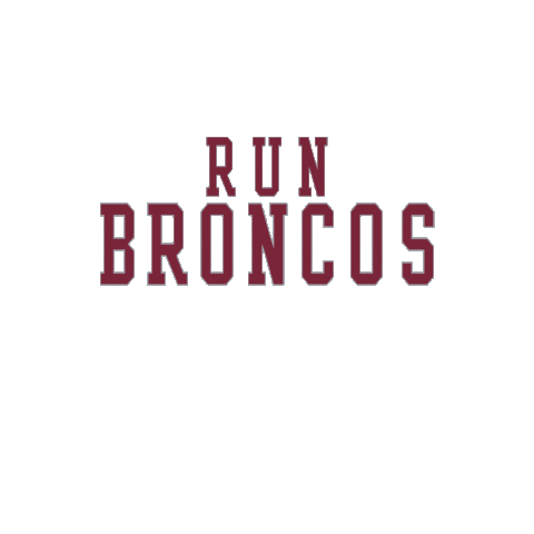 Go Broncos Sticker by Santa Clara Broncos