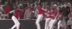 World Series Baseball GIF by NCAA Championships