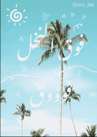 Palm GIF