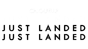 CHIQUELLE just landed chiquelle Sticker