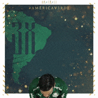 Soccer Futebol GIF by SE Palmeiras