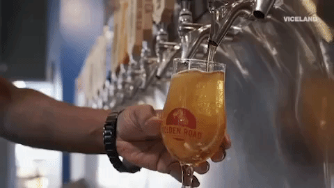 beer GIF by BEERLAND