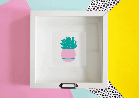 plant cactus GIF by ali mac