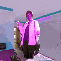 haunting miami beach GIF