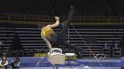 theiowahawkeyes hawks hawkeyes iowa hawkeyes university of iowa GIF